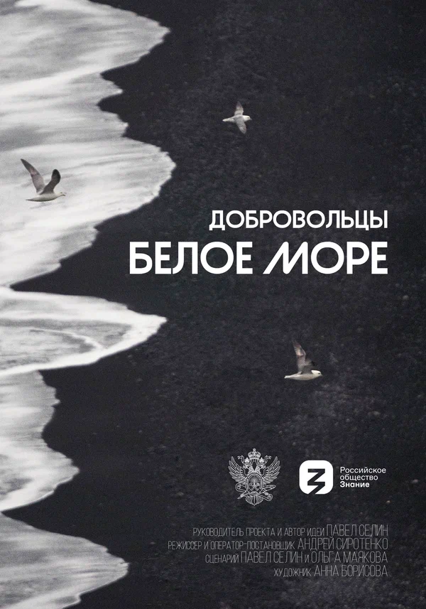 Постер: Добровольцы. Белое море