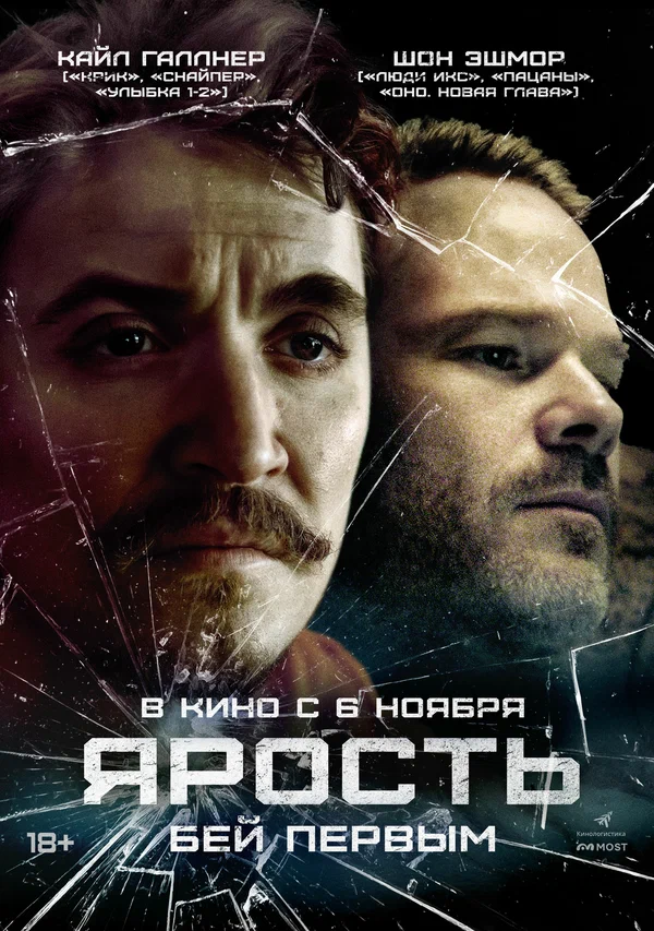 Постер: Ярость