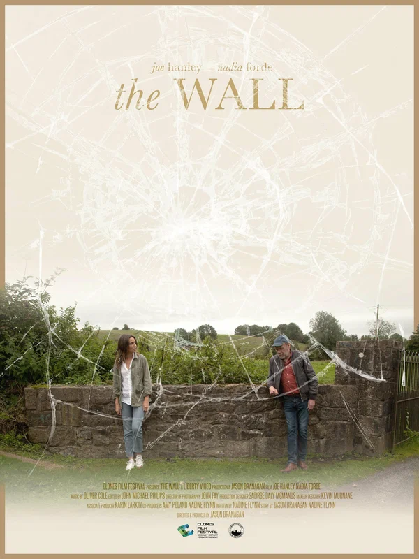 Постер: The Wall