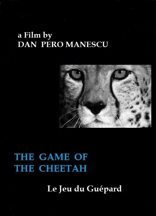 Постер: The Game of the Cheetah