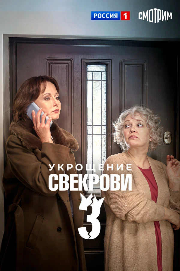 Постер: Укрощение свекрови 3