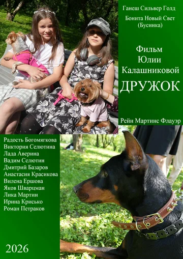 Постер: Дружок