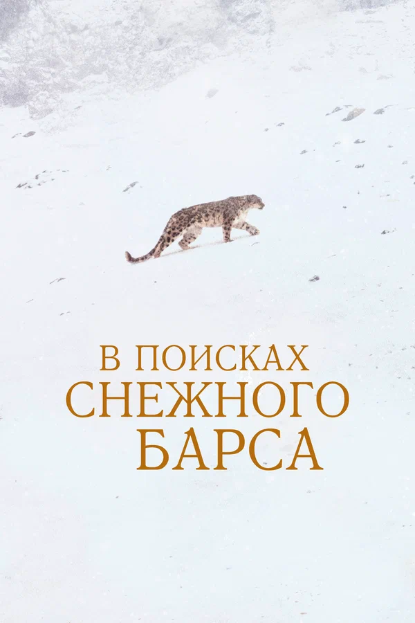 Постер: В поисках снежного барса