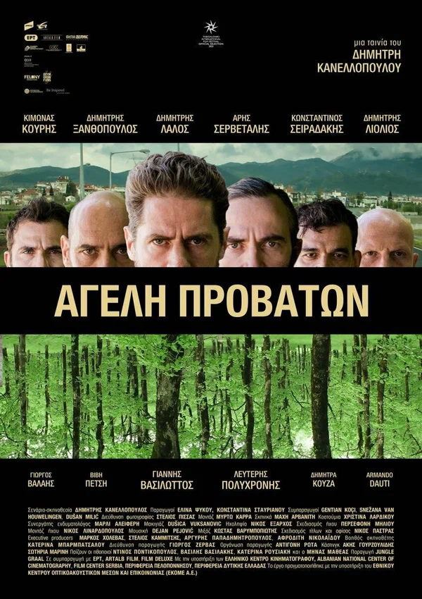 Постер: Овечья стая
