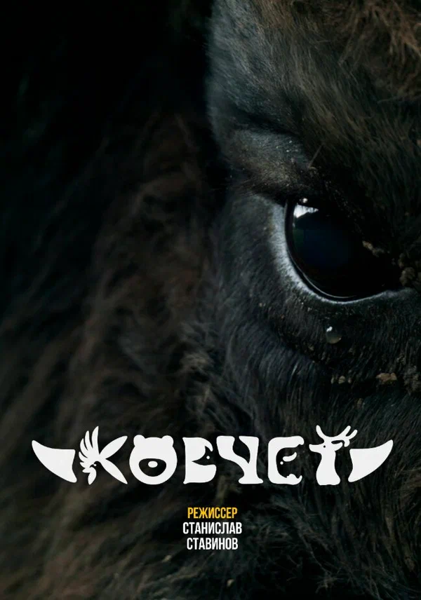 Постер: Ковчег