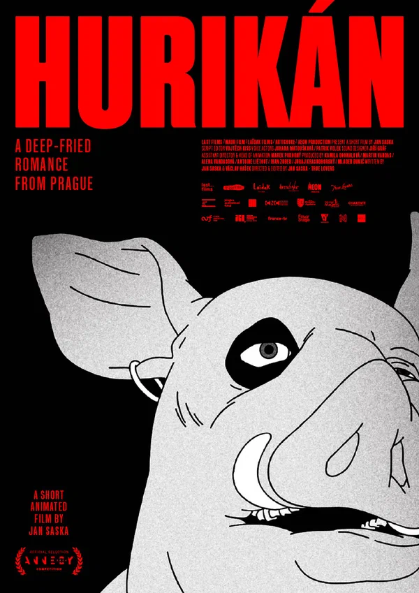 Постер: Hurikán