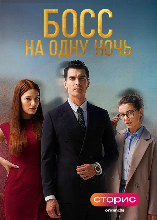 Постер: Босс на одну ночь