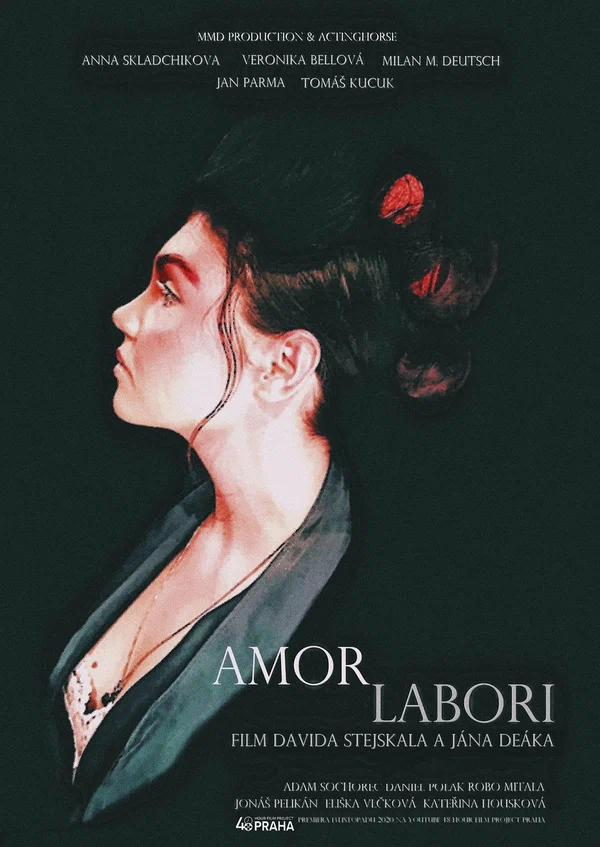 Постер: Amor Labori
