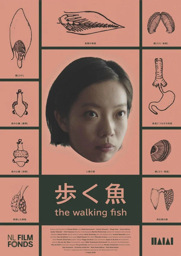 Постер: The Walking Fish