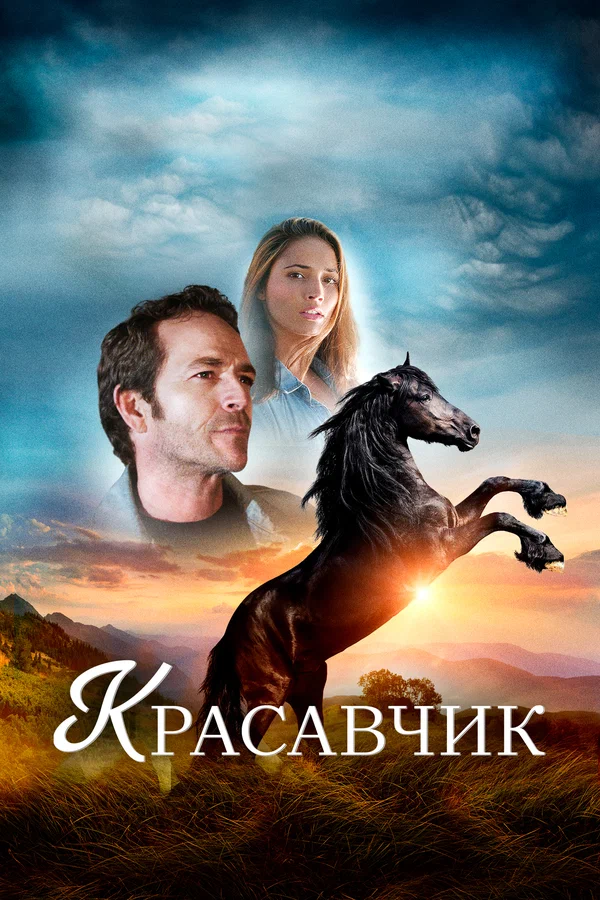 Постер: Красавчик