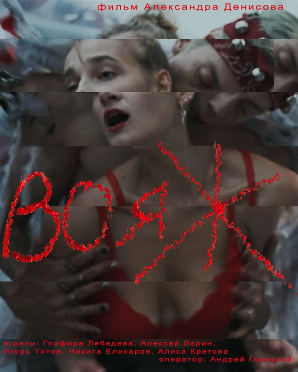 Постер: Вояж