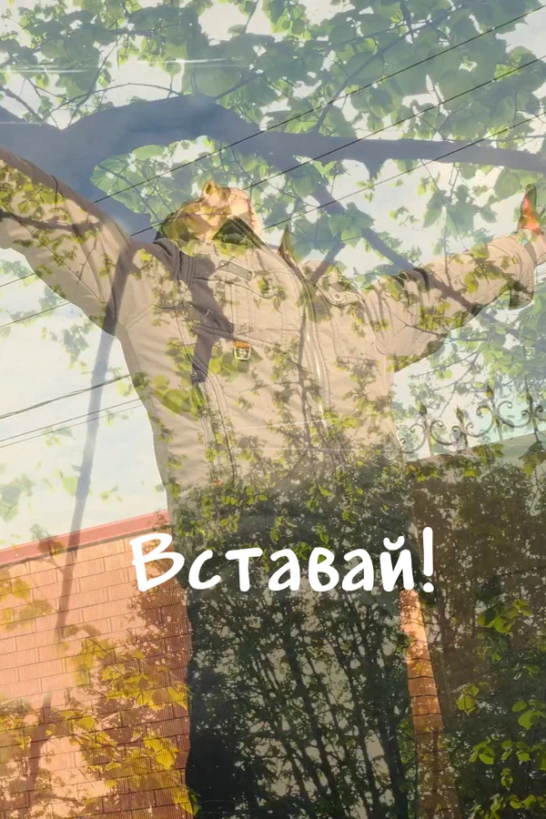 Постер: Вставай!
