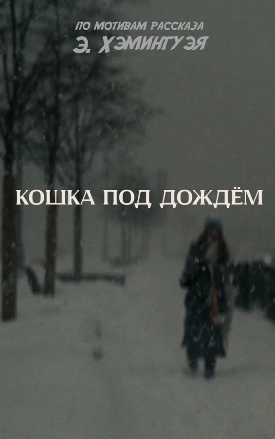 Постер: Кошка под дождём