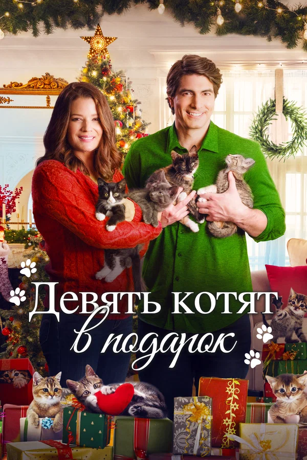 Постер: Девять котят в подарок