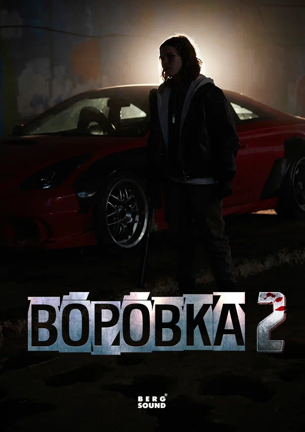Постер: Воровка 2