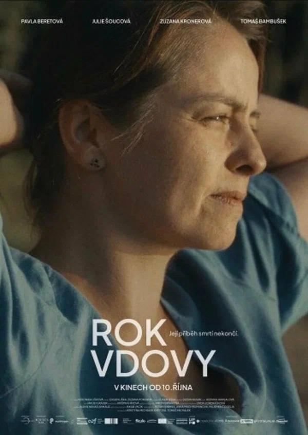 Постер: Year of the Widow