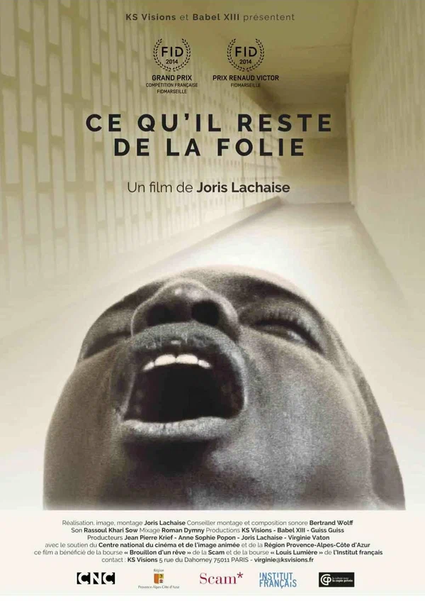 Постер: Ce qu'il reste de la folie