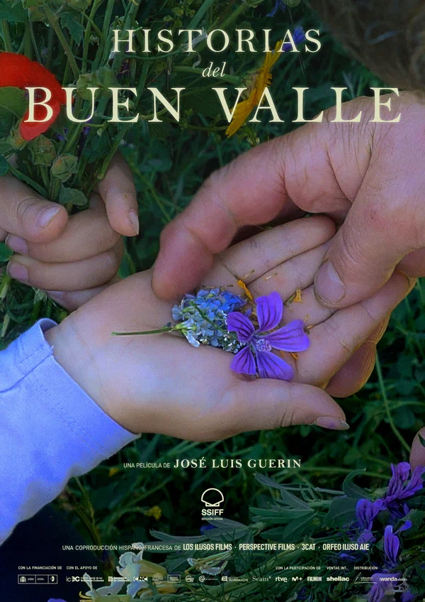 Постер: Historias del buen valle