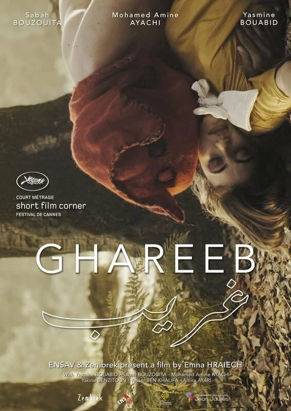 Постер: Ghareeb
