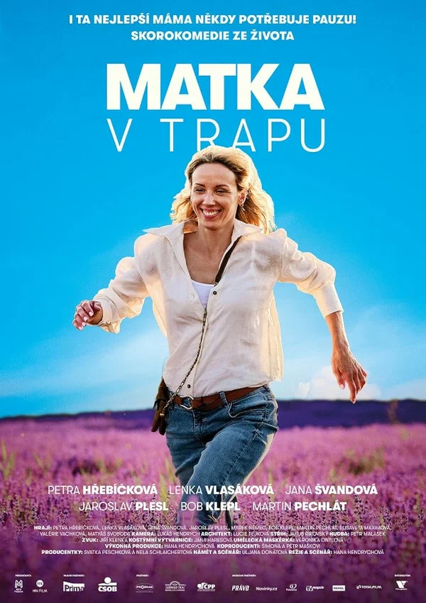 Постер: Мать в ловушке