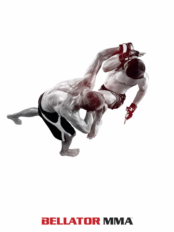 Постер: Bellator MMA