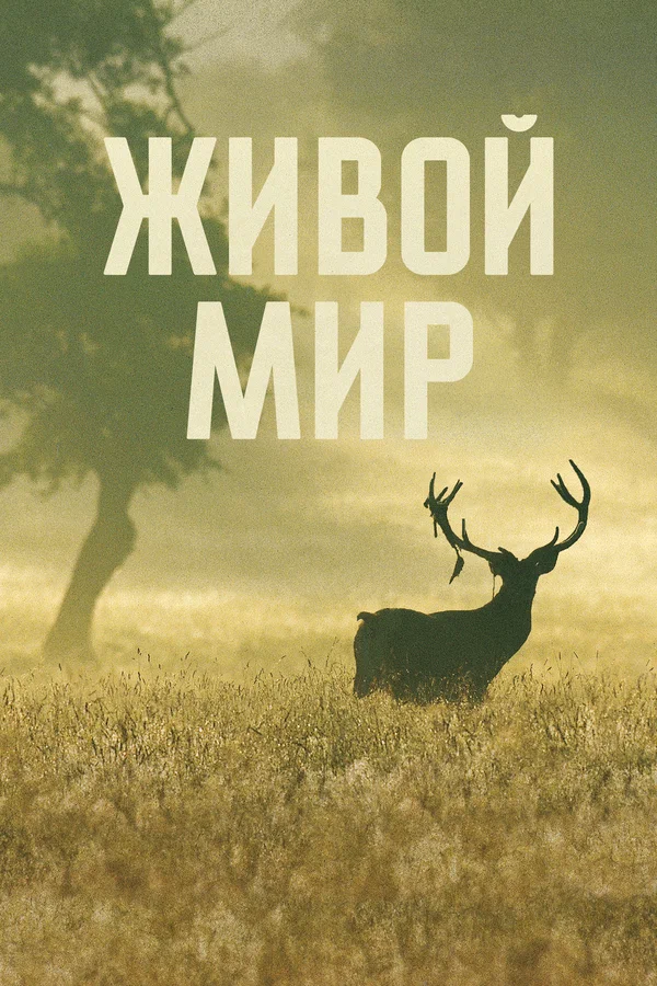 Постер: Живой мир