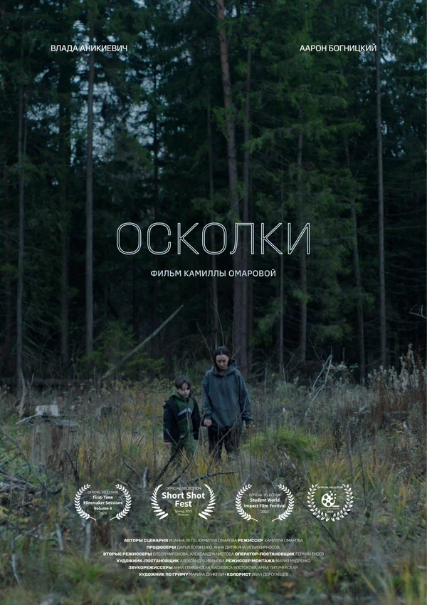 Постер: Осколки