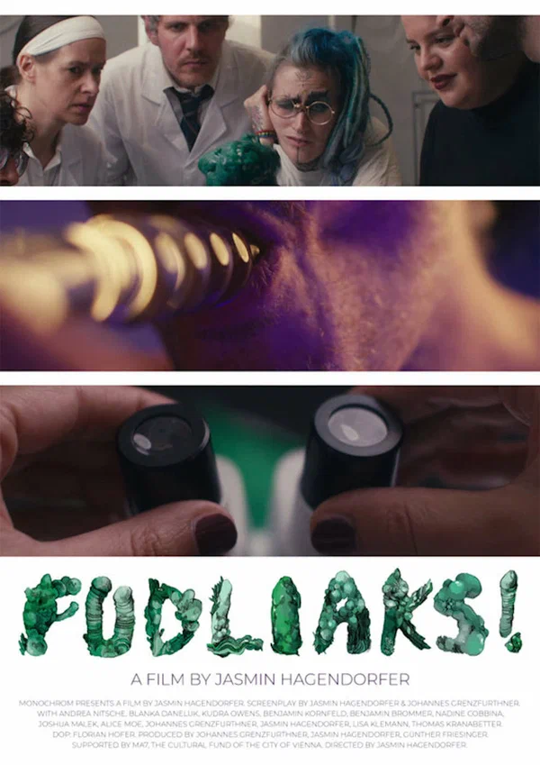 Постер: Fudliaks! Zerfetzt die Geschlechter!