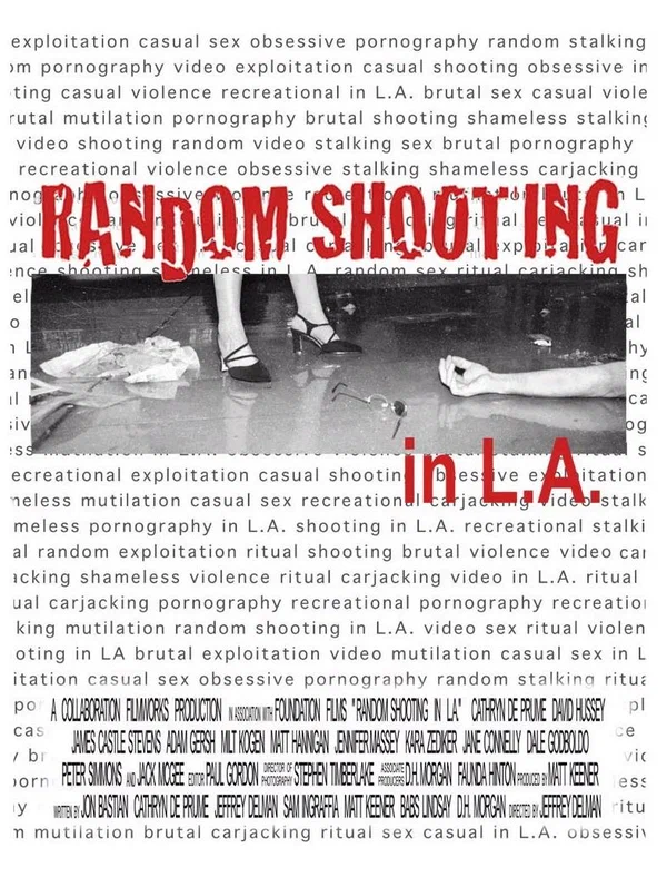 Постер: Random Shooting in L.A.