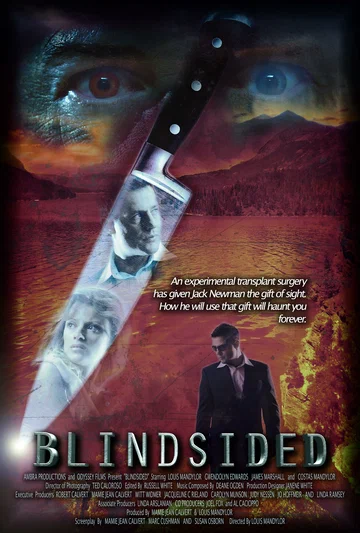 Постер: Blindsided