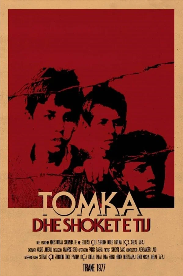 Постер: Томка и его друзья