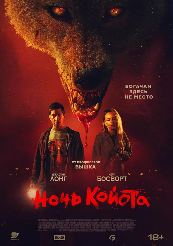 Постер: Ночь койота