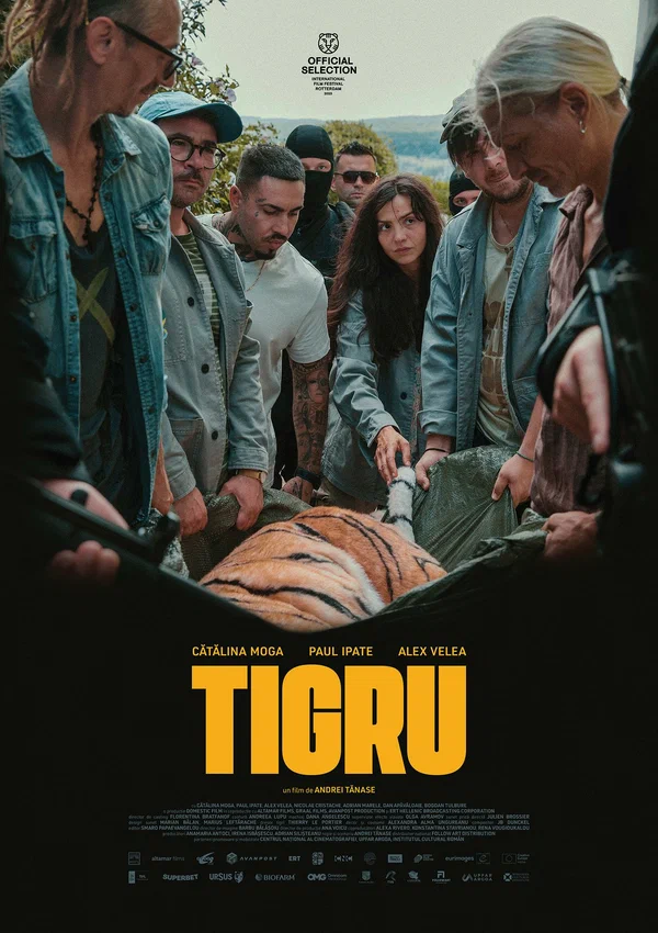 Постер: Tigru