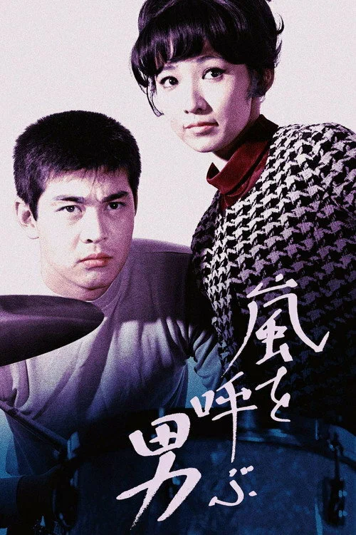 Постер: 嵐を呼ぶ男