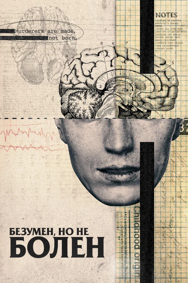 Постер: Безумен, но не болен