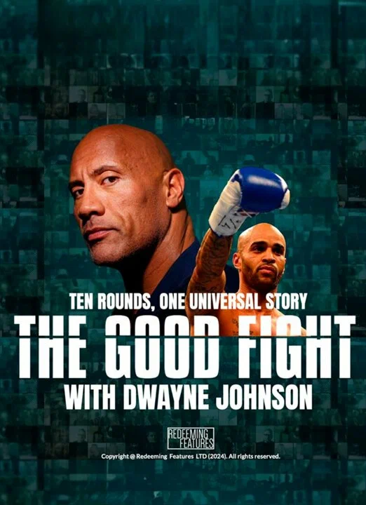 Постер: The Good Fight