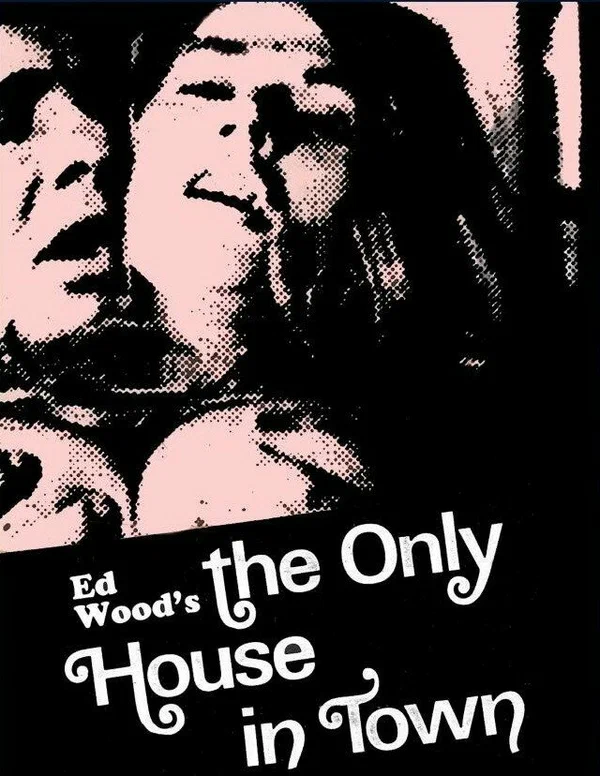 Постер: The Only House in Town