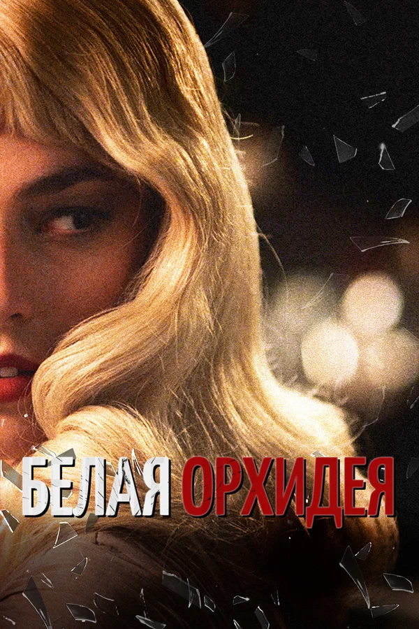 Постер: Белая орхидея