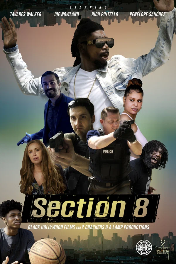 Постер: Section 8