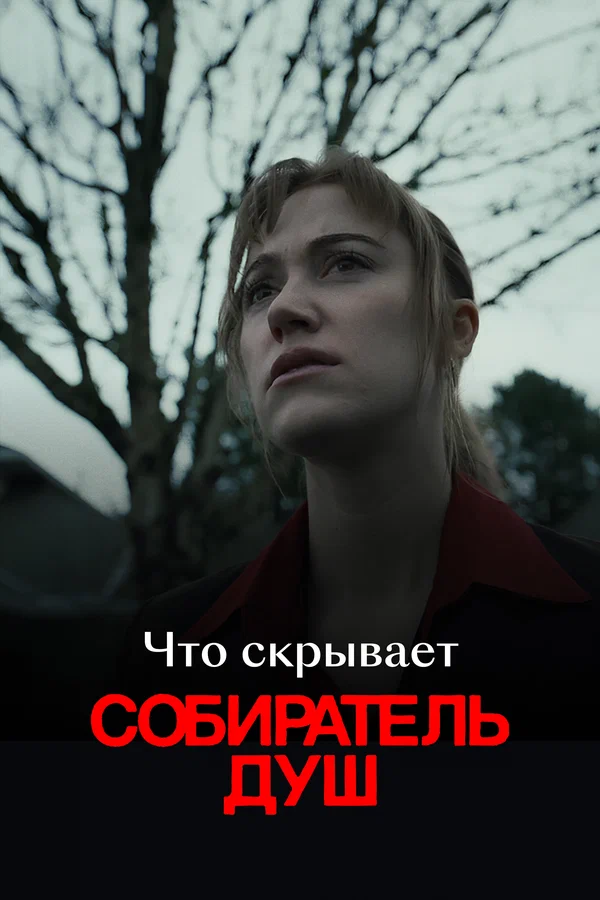 Постер: Что скрывает «Собиратель душ»
