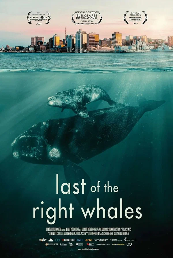 Постер: Last of the Right Whales