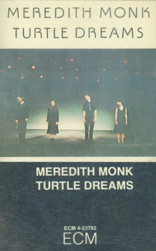 Постер: Turtle Dreams