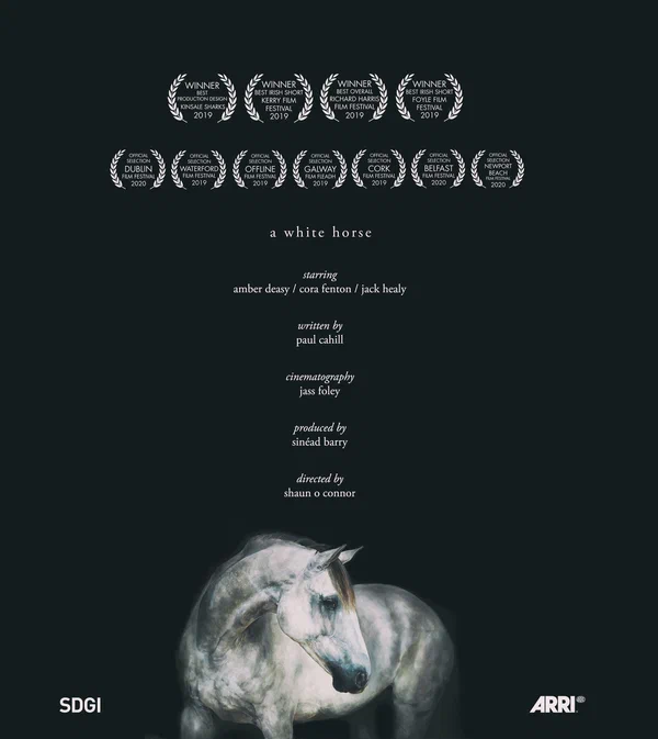 Постер: A White Horse