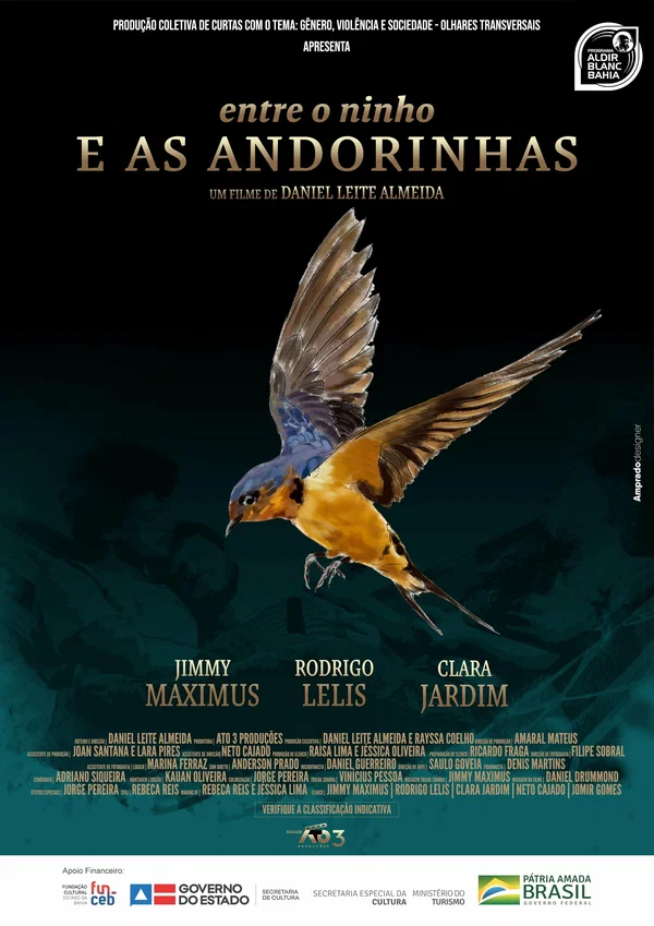Постер: Entre o Ninho e as Andorinhas