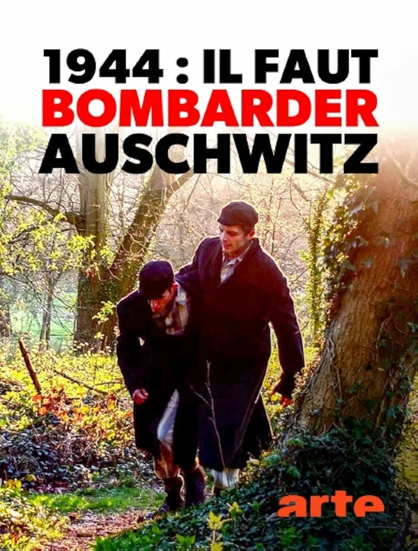 Постер: 1944: Bomben auf Auschwitz?