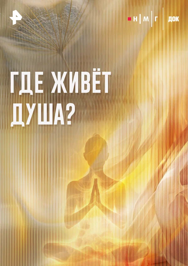 Постер: Где живет душа?