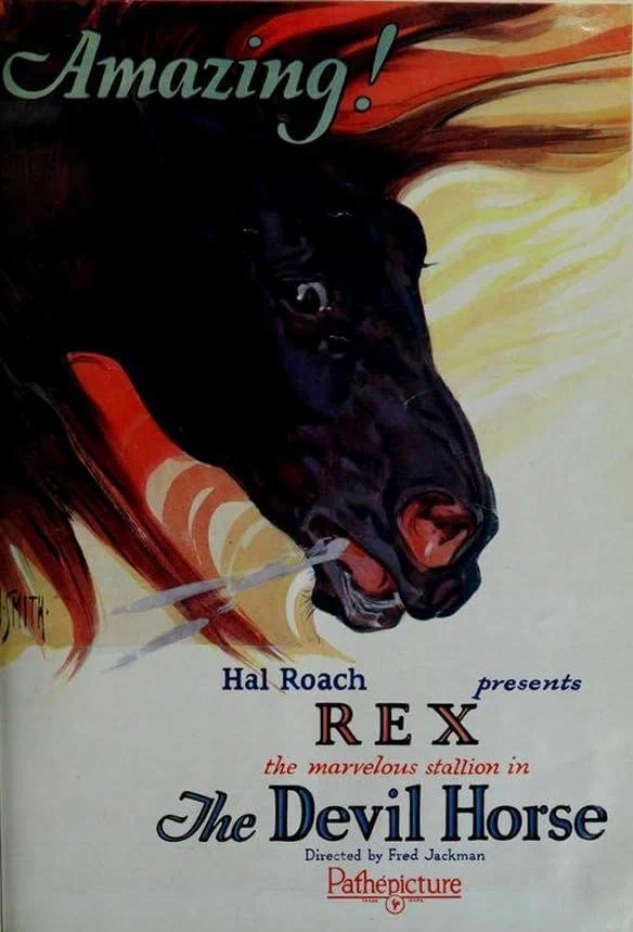Постер: The Devil Horse
