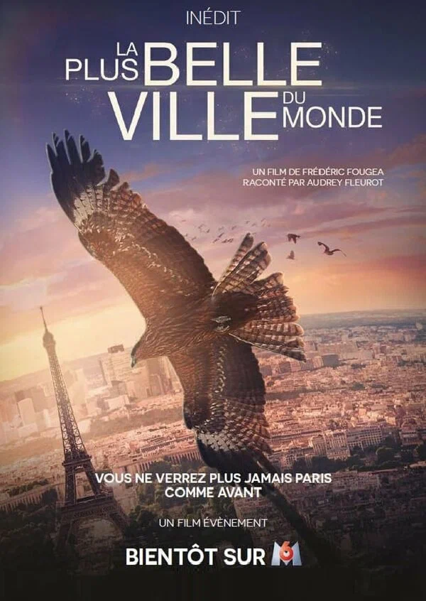 Постер: La plus belle ville du monde