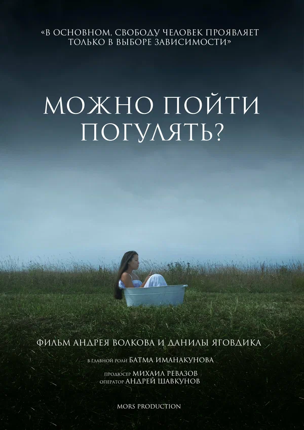 Постер: Можно пойти погулять?
