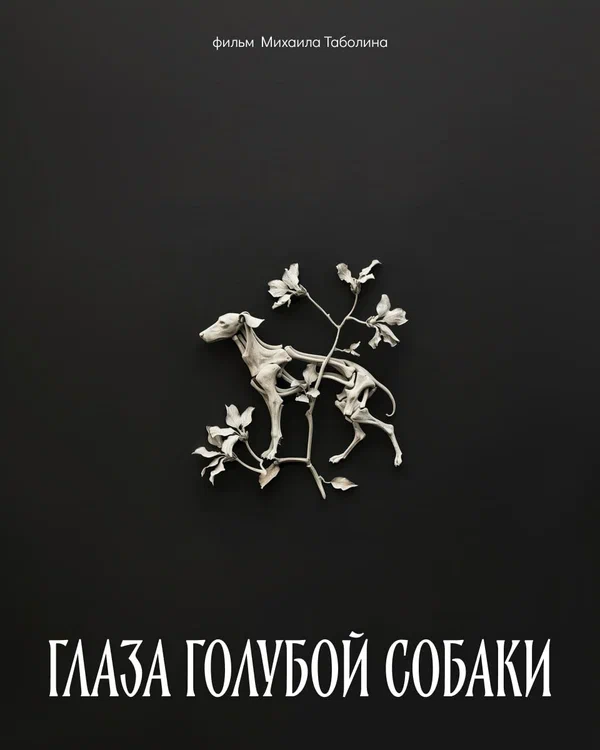 Постер: Глаза голубой собаки